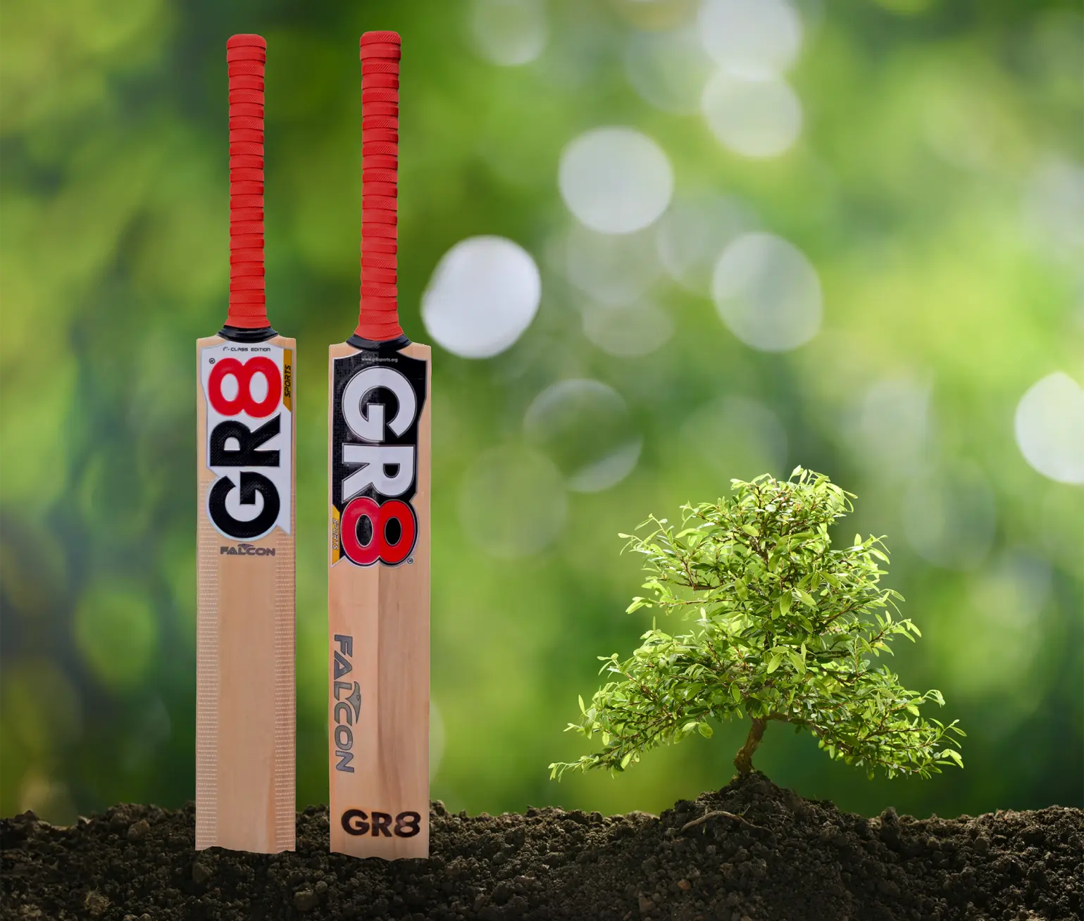 Plant and GR8 bats